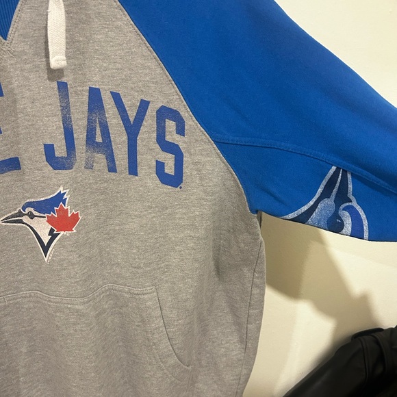 Blue Jay Hoodie - Blue and Gray - Picture 2 of 4